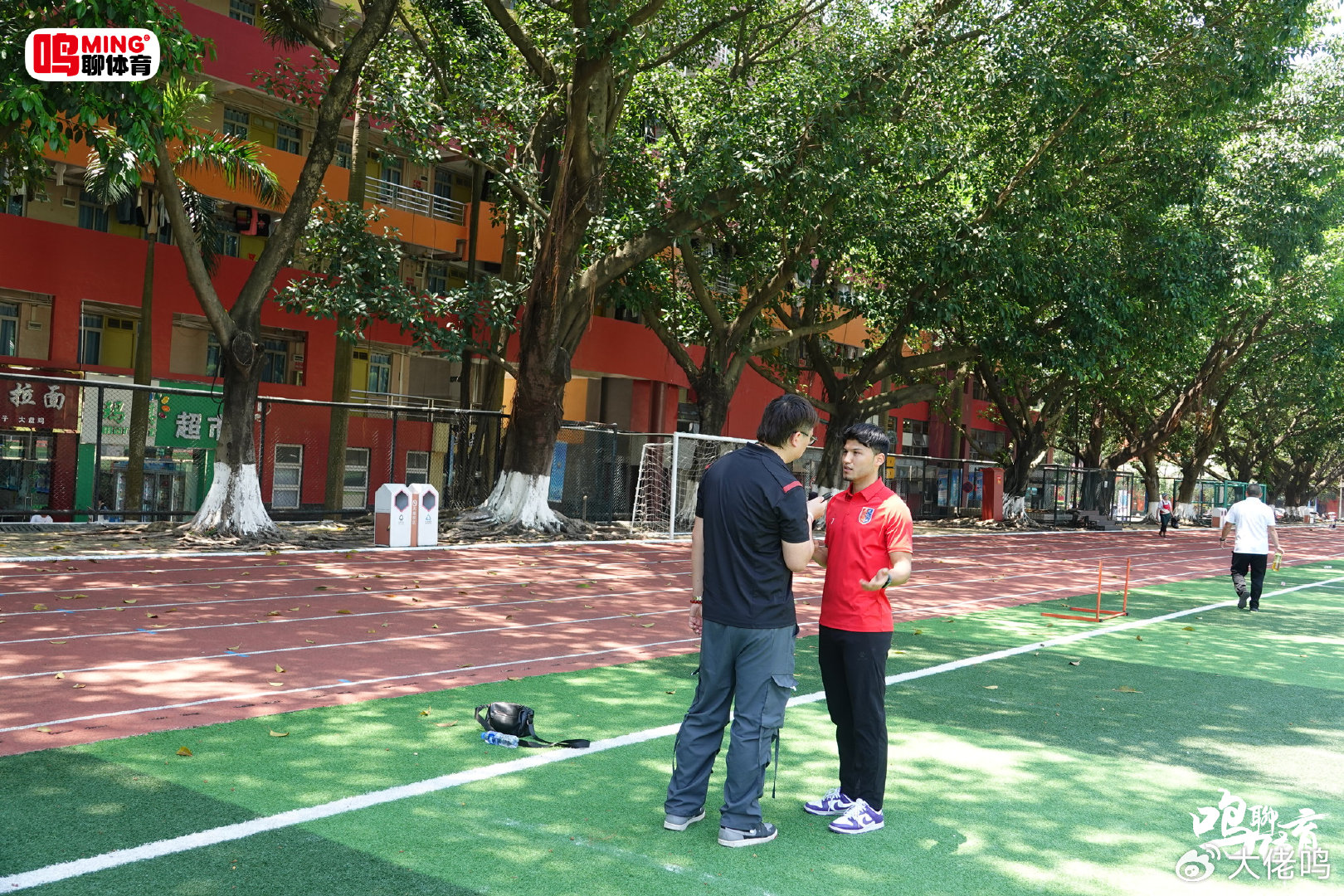 还是湿润凝重的绿洲详情图