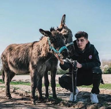 了解bevictor伟德