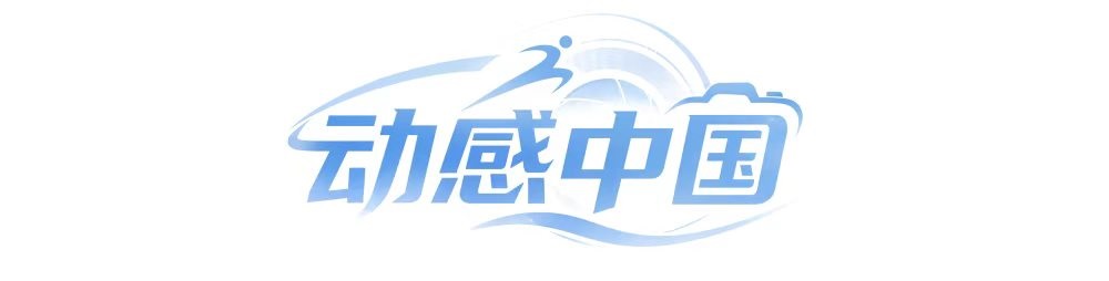 bevictor伟德图片展示